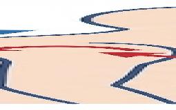 何故肩こりはマッサージだけだとすぐ戻ってしまうのか？その原因を解説！