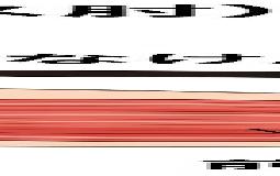 前腕だけじゃない！「テニス肘（外側上顆炎）」を上半身全体で考えてみましょう。