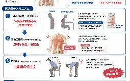 腰痛に深く関係する小さな筋肉「多裂筋」をご存じですか？