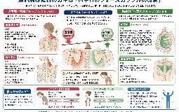 肩こりの原因とは？肩甲骨の「ガンバリ筋」と「サボリ筋」の関係